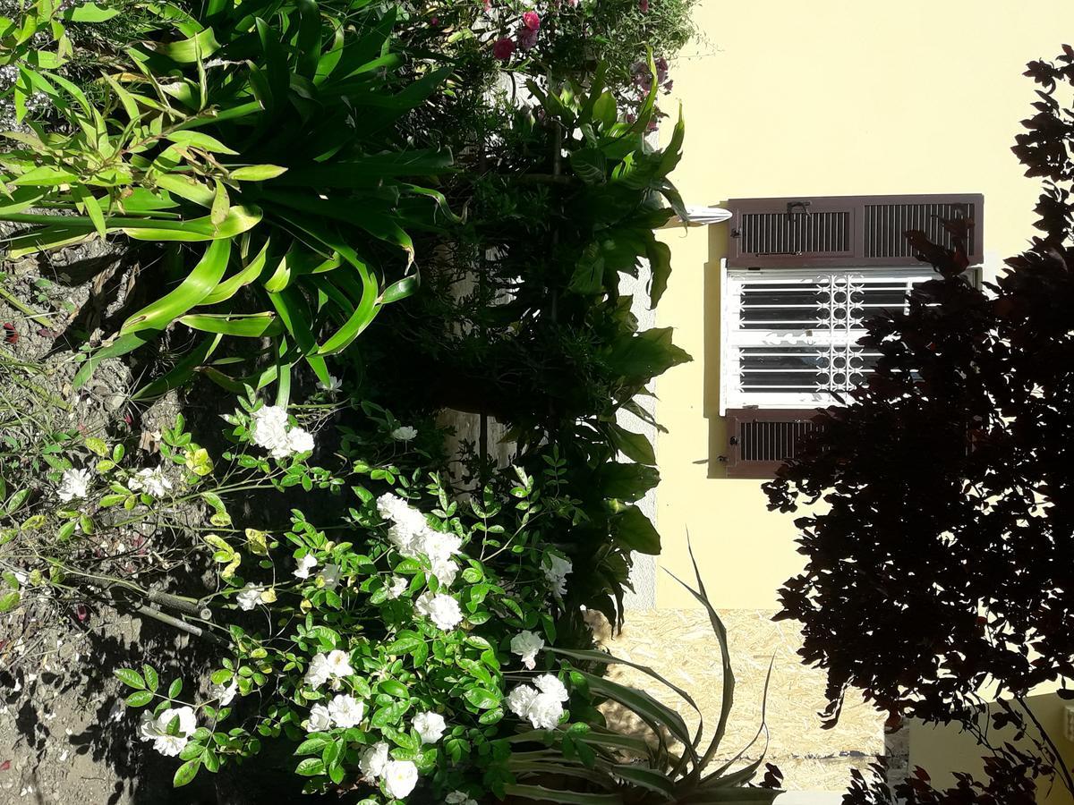 Appartement Aliso' à Sarzana Extérieur photo